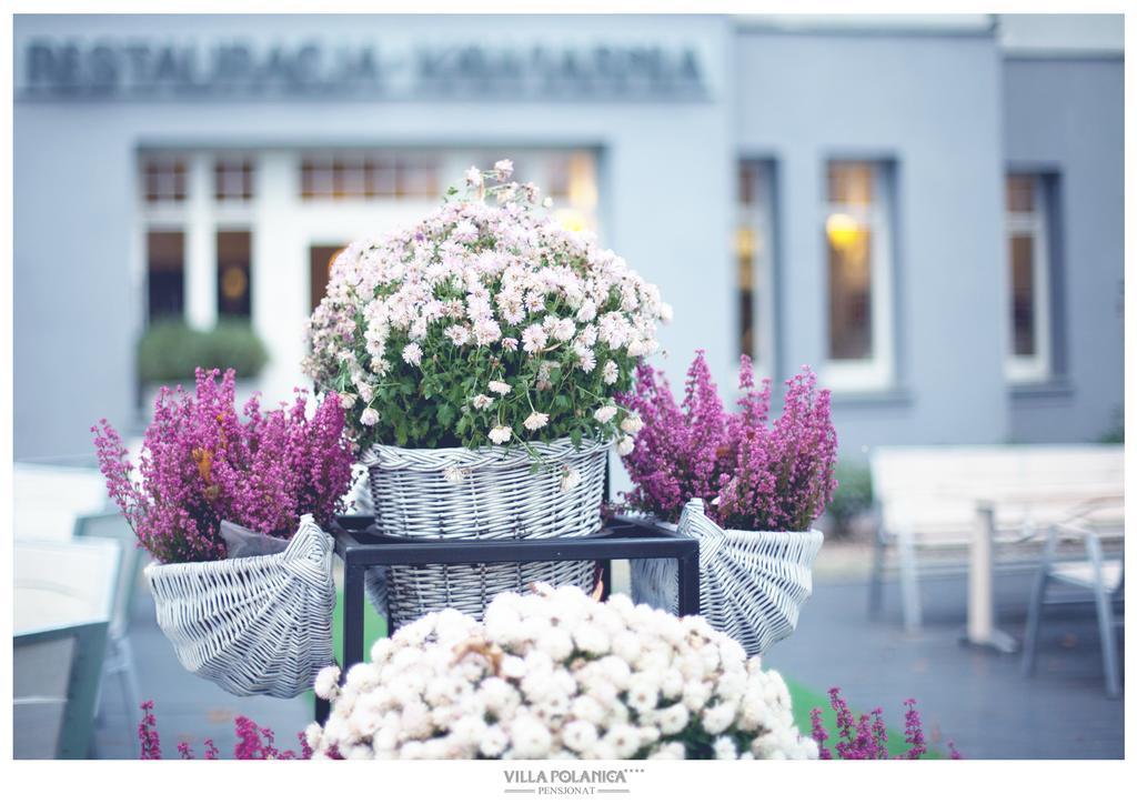Villa Polanica エクステリア 写真